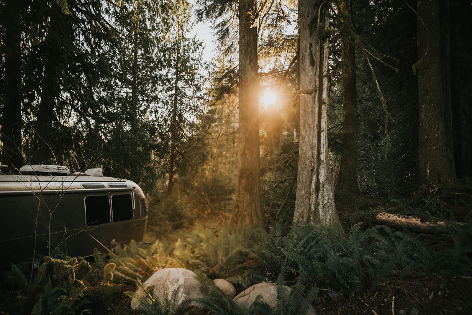 Airstream nestled in the forest at golden hour