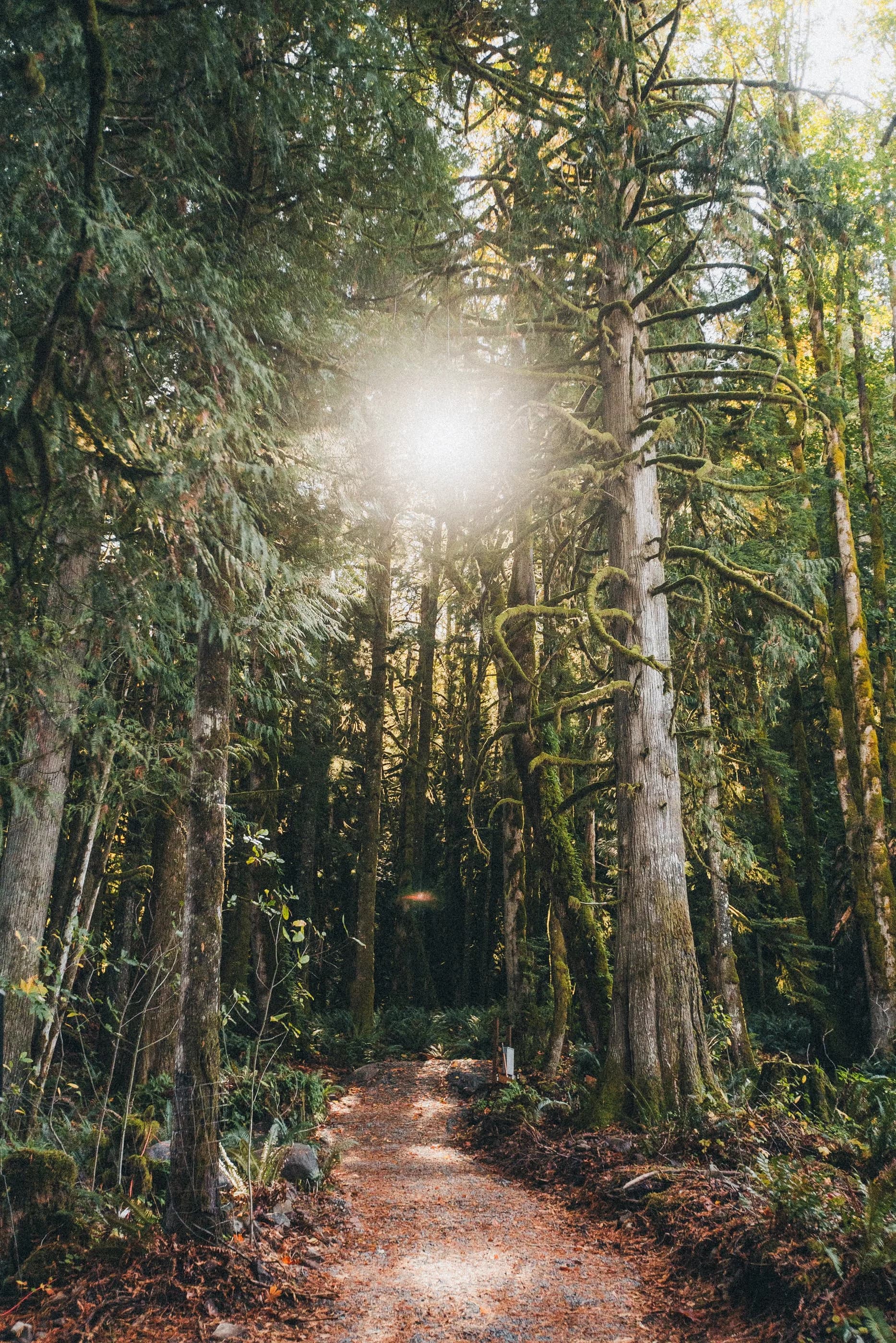 Aerial view of Highland Farms wedding venue