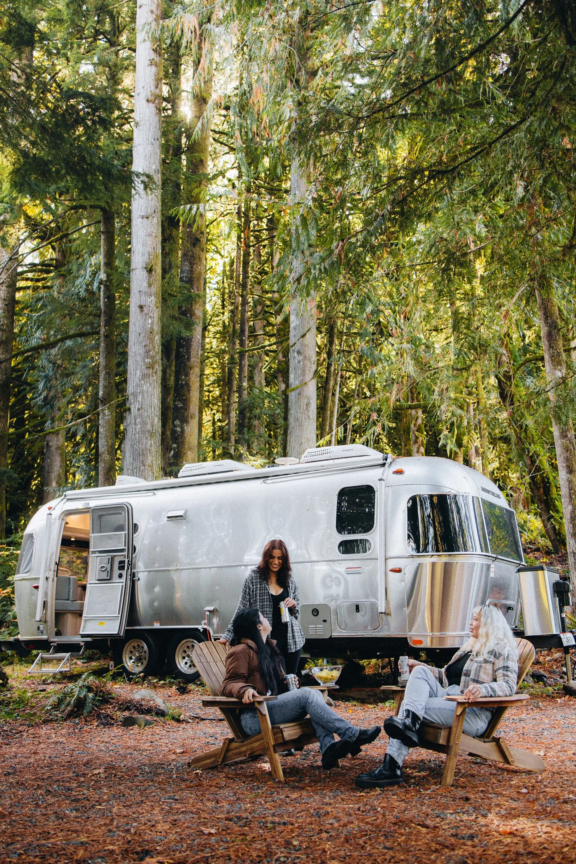 Airstream trailer under the evergreens