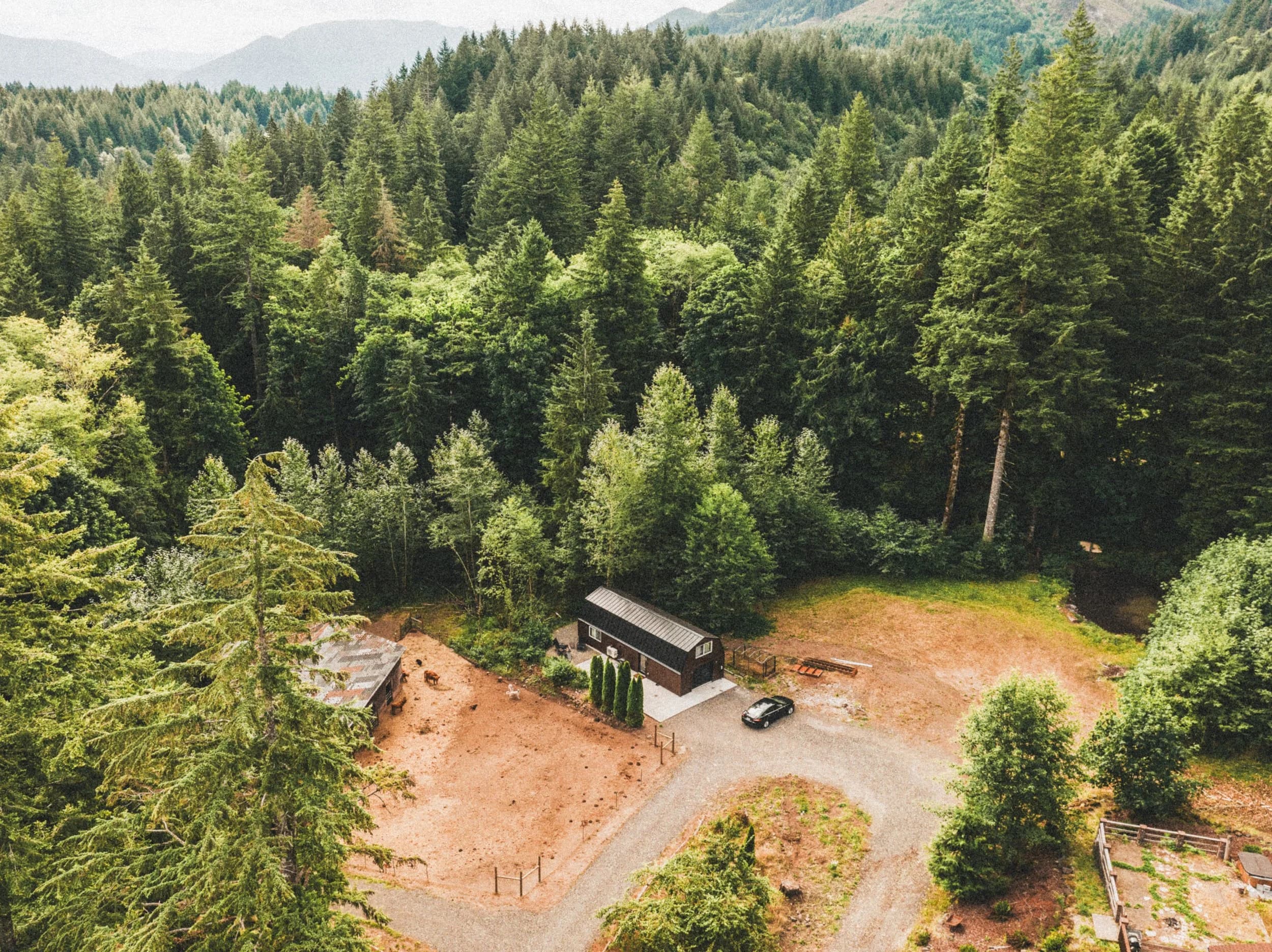 Bonnie Lass Cottage living space