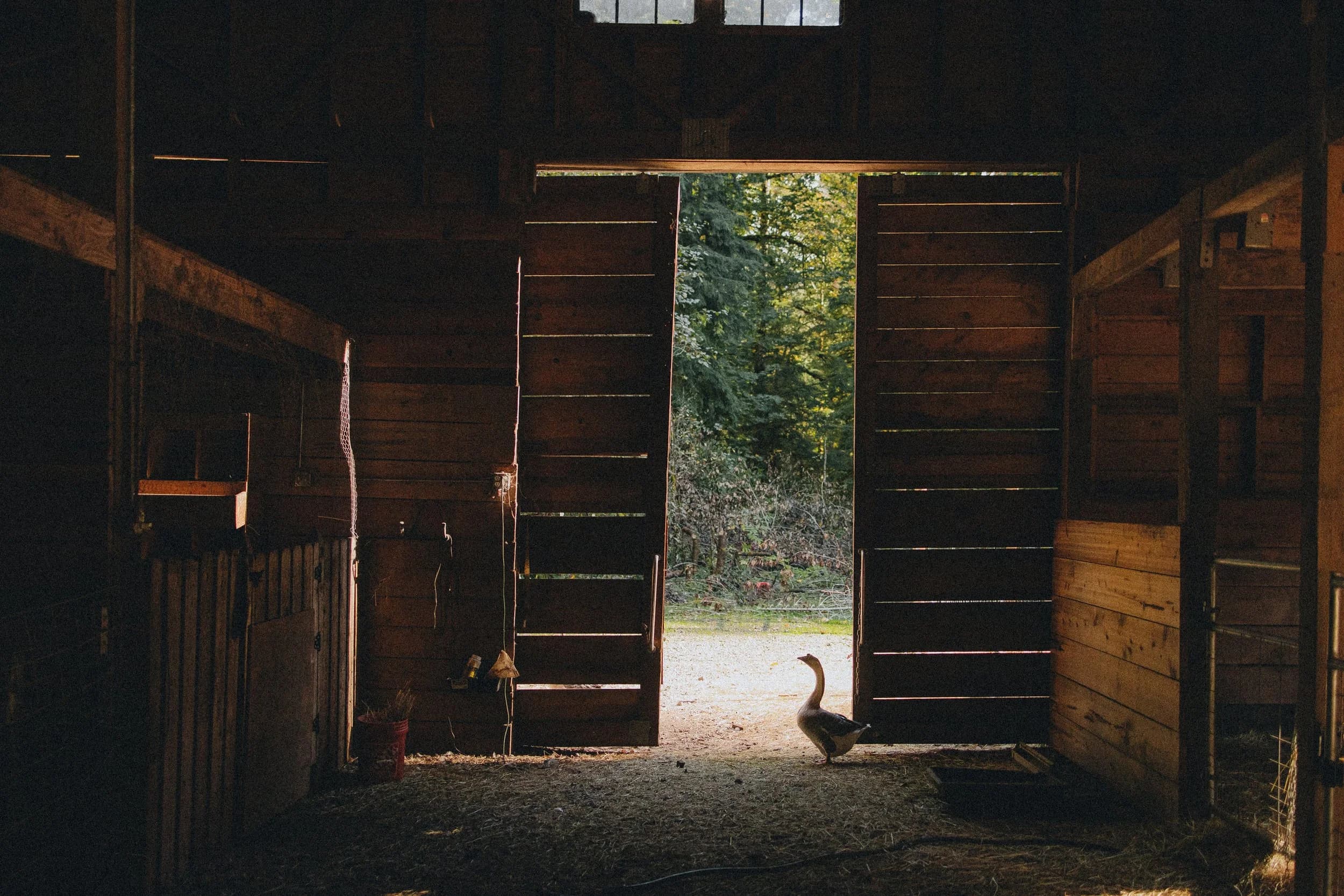 William Wallace Lodge interior