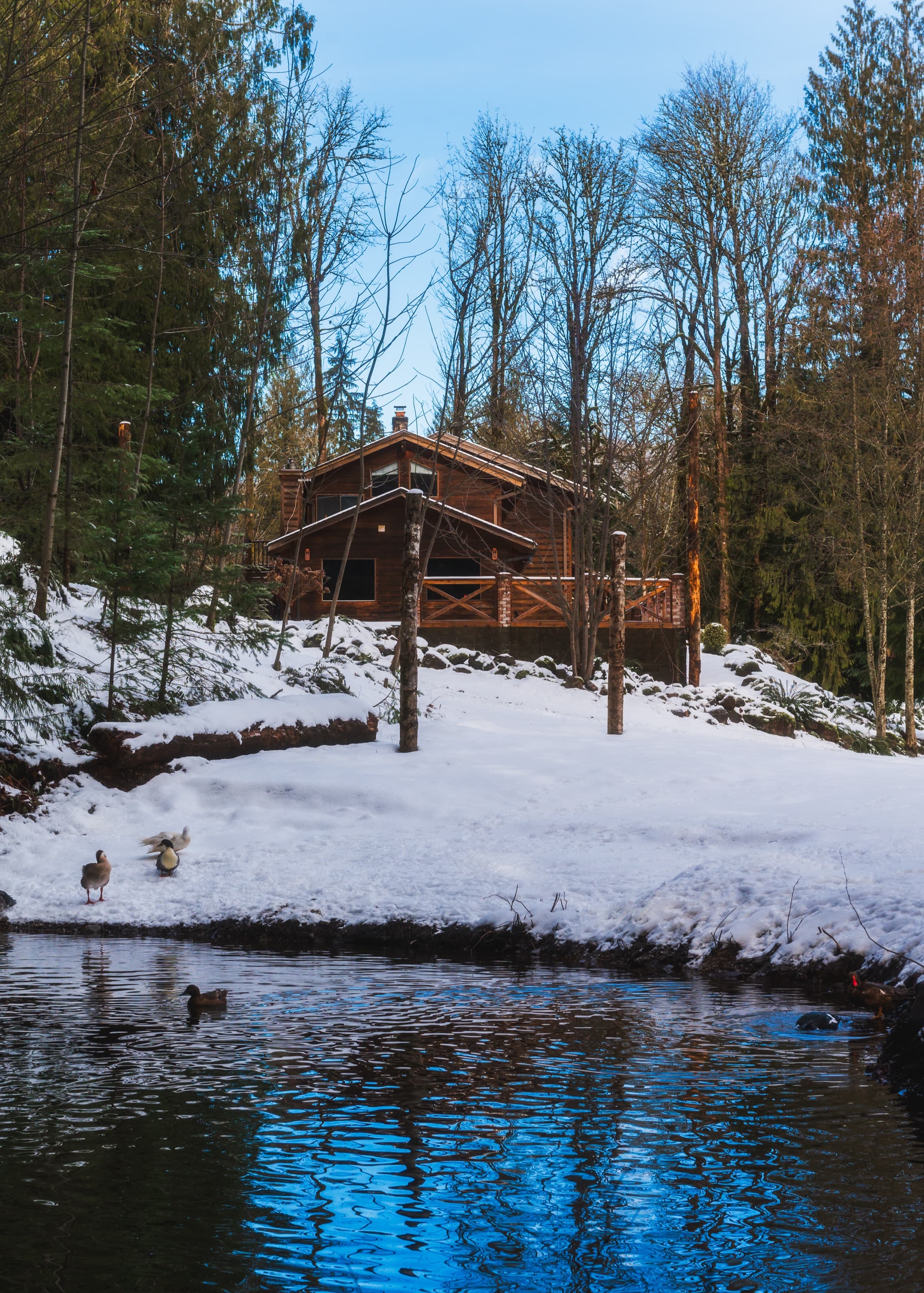 The Lodge seen across the partly frozen pond after a snowfall