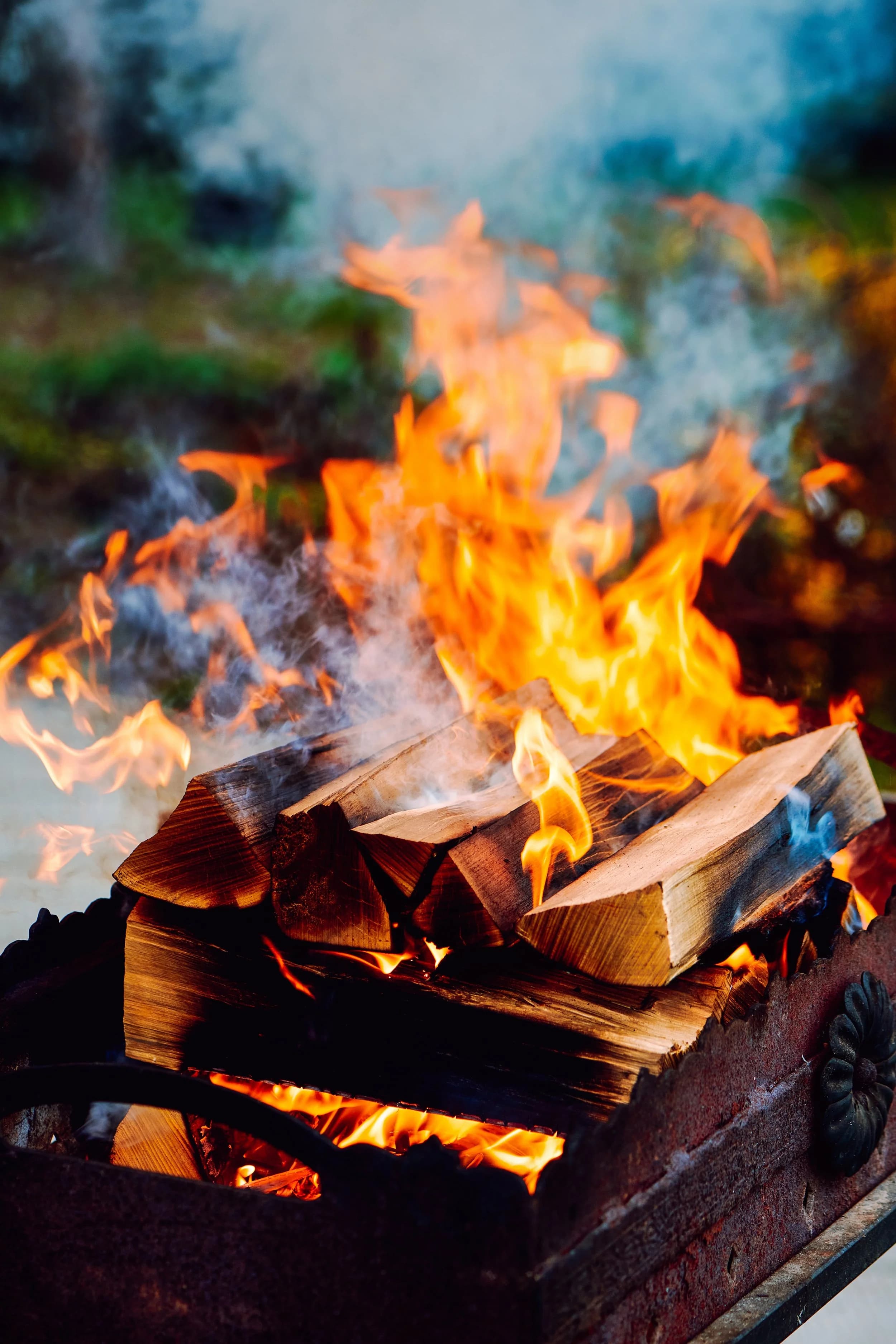 Firewood & kindling