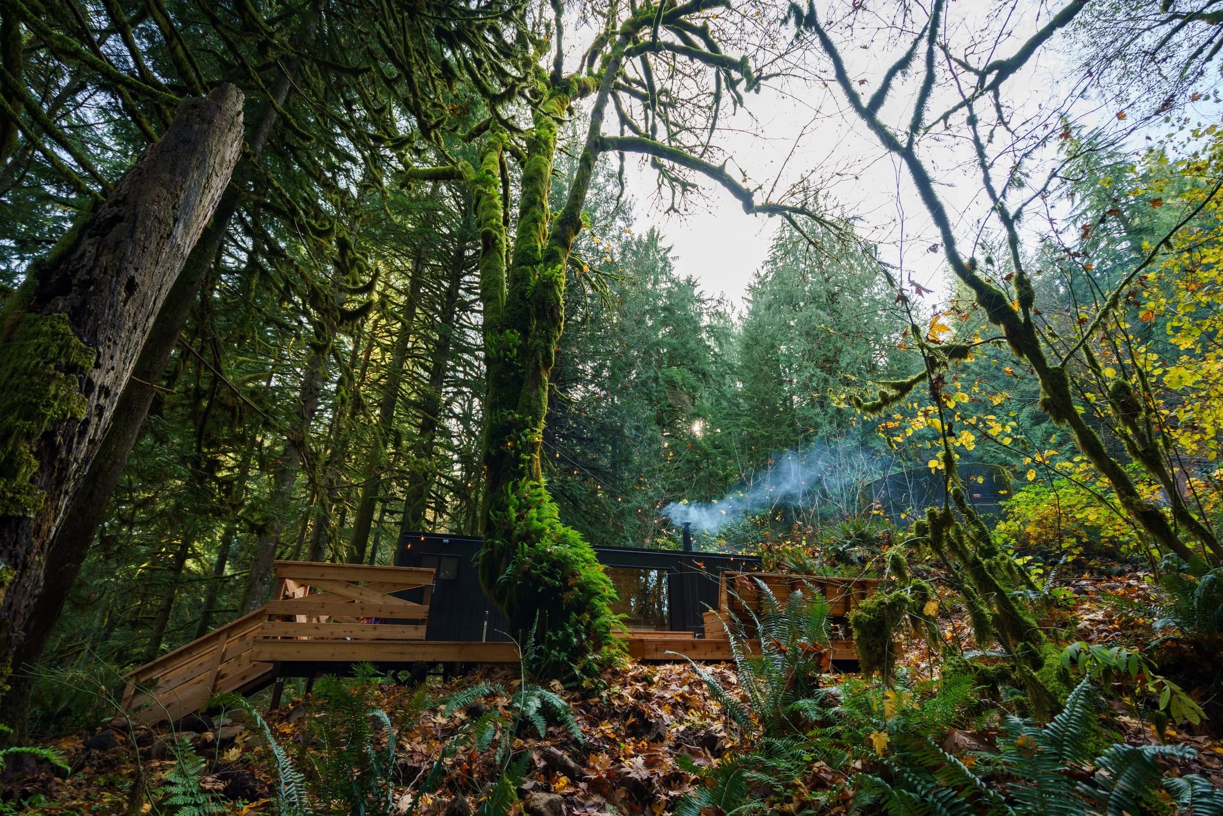 Cedar spa deck nestled in the forest at Highland Farms