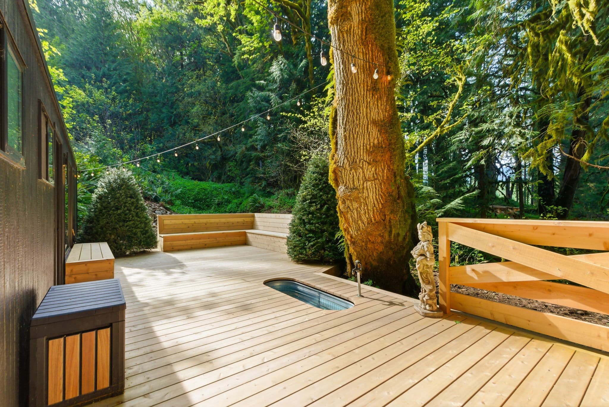 The cold plunge set into the cedar deck, ferns and a huge tree trunk beside it