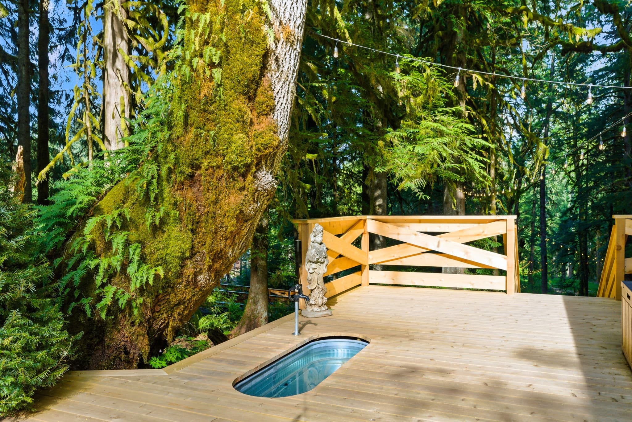 Cold plunge tub set into the cedar deck beside a moss-covered old-growth tree