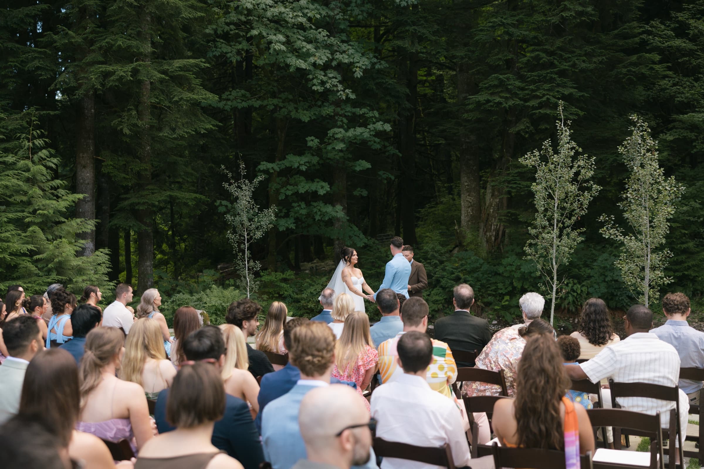 Forest ceremony under towering evergreens