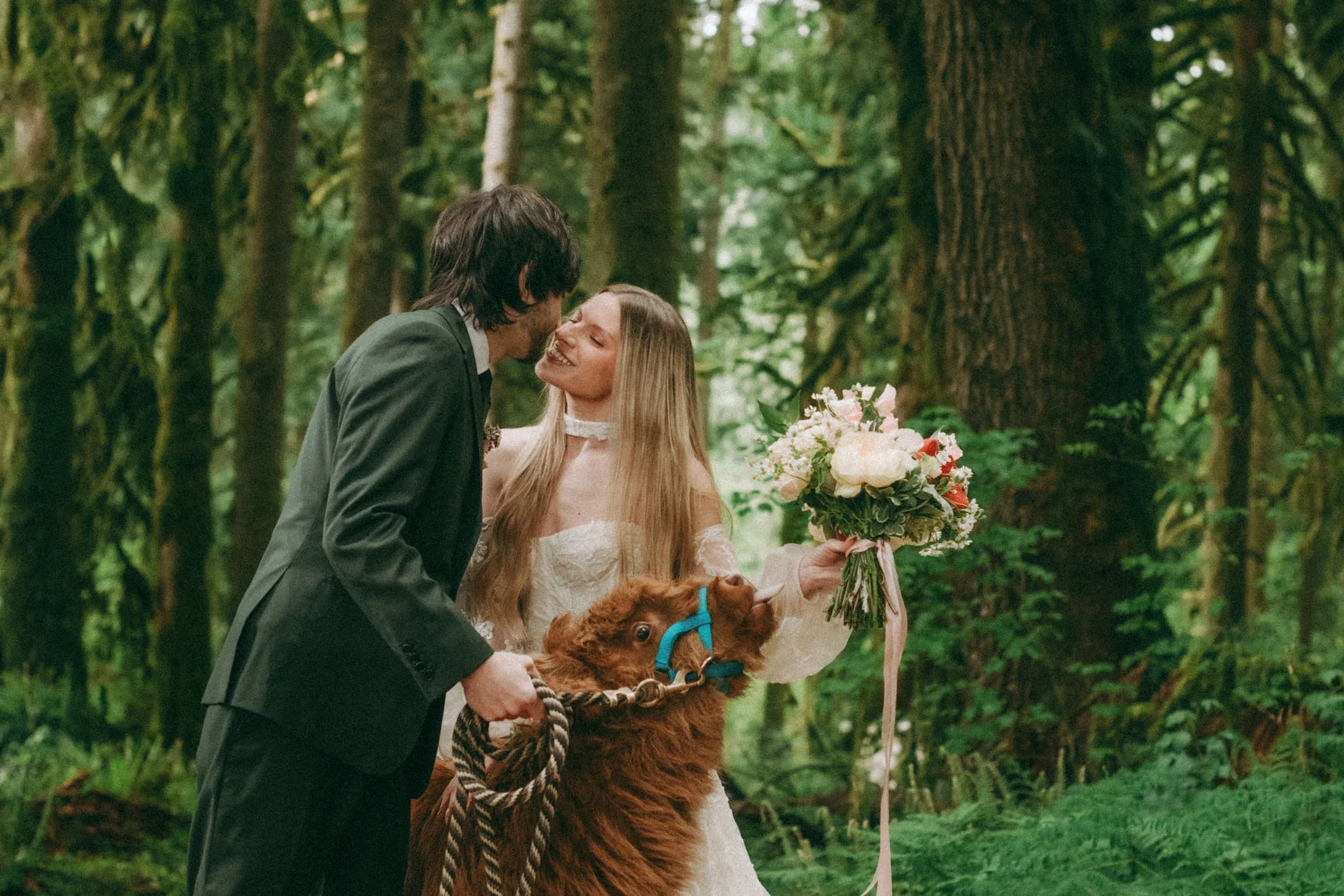 Wedding couple with Highland Cow in the forest at Highland Farms Oregon