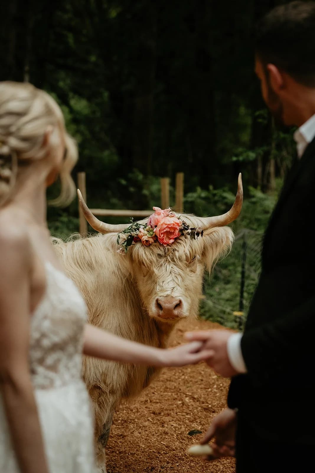 Jen & Ryan wedding at Highland Farms