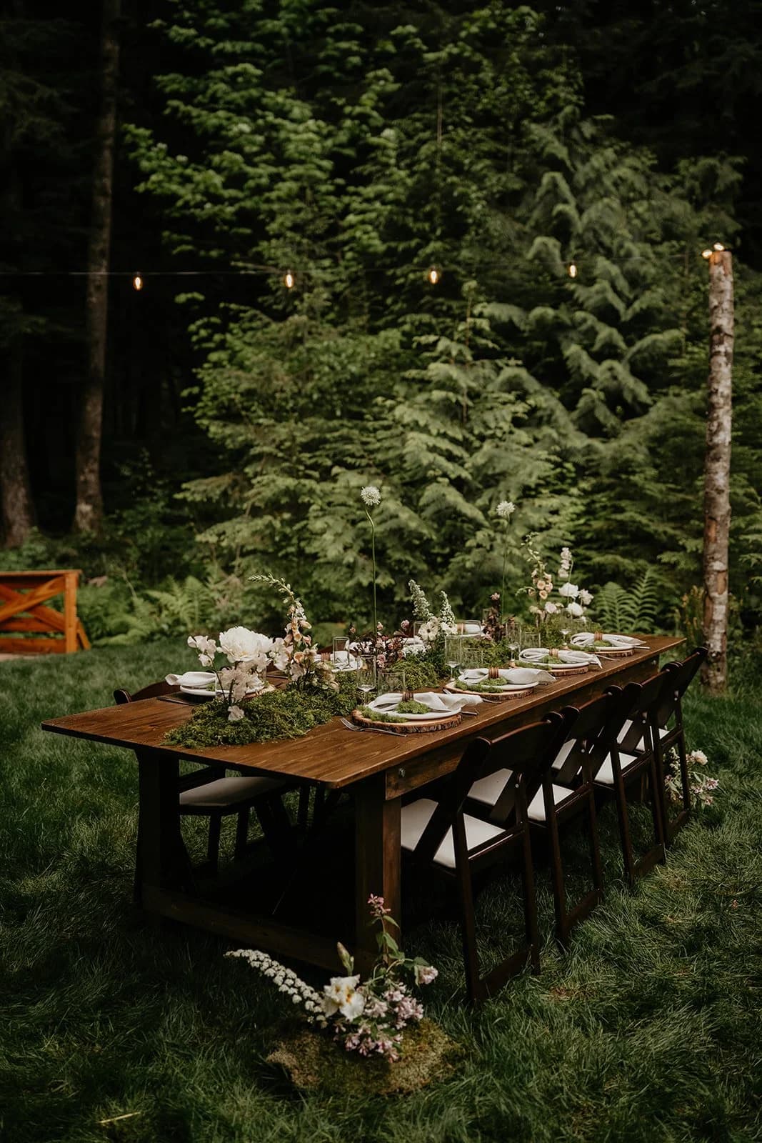 Jen & Ryan — Highland Cow photo op