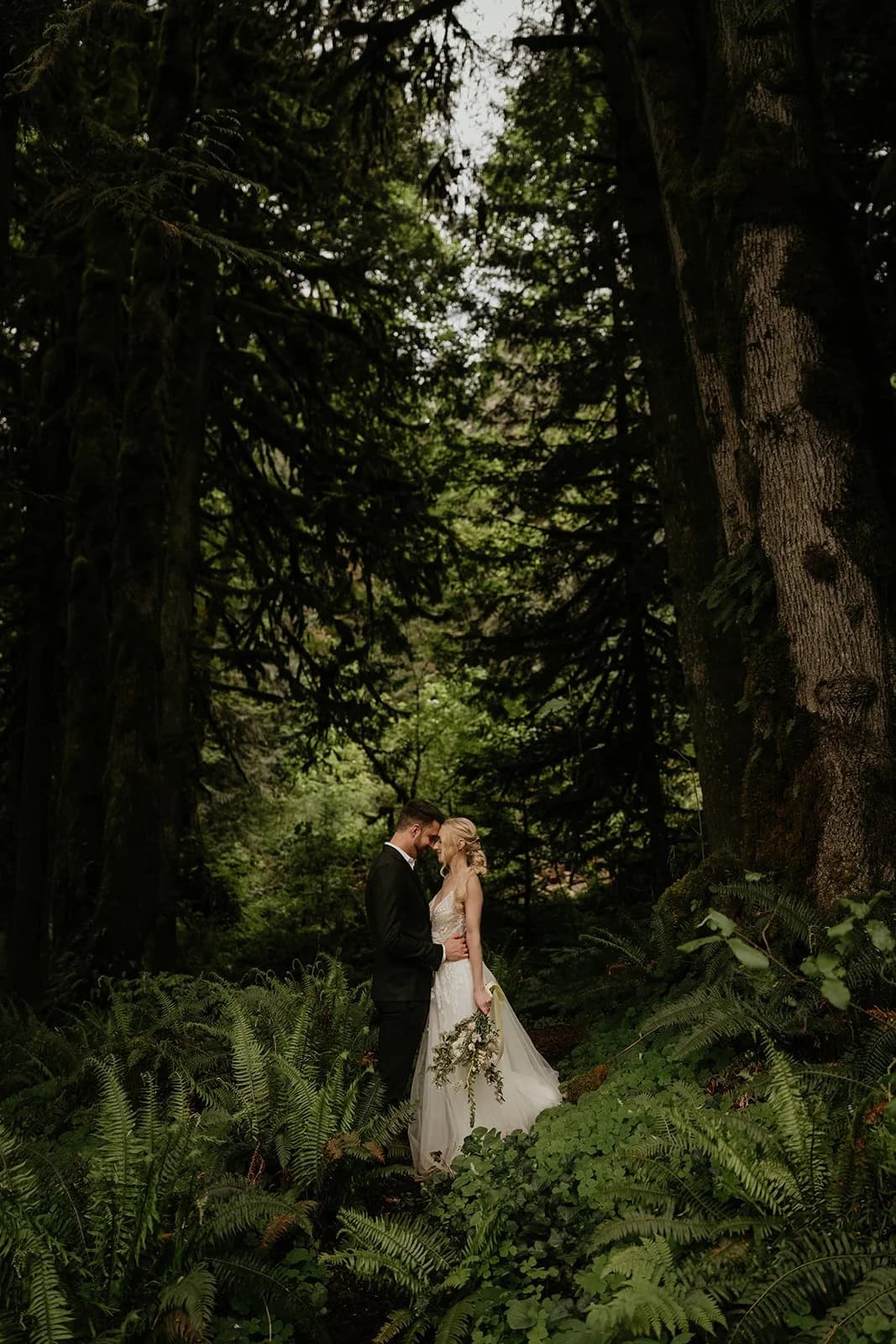 Two people in wedding clothes stand small among tall mossy trees