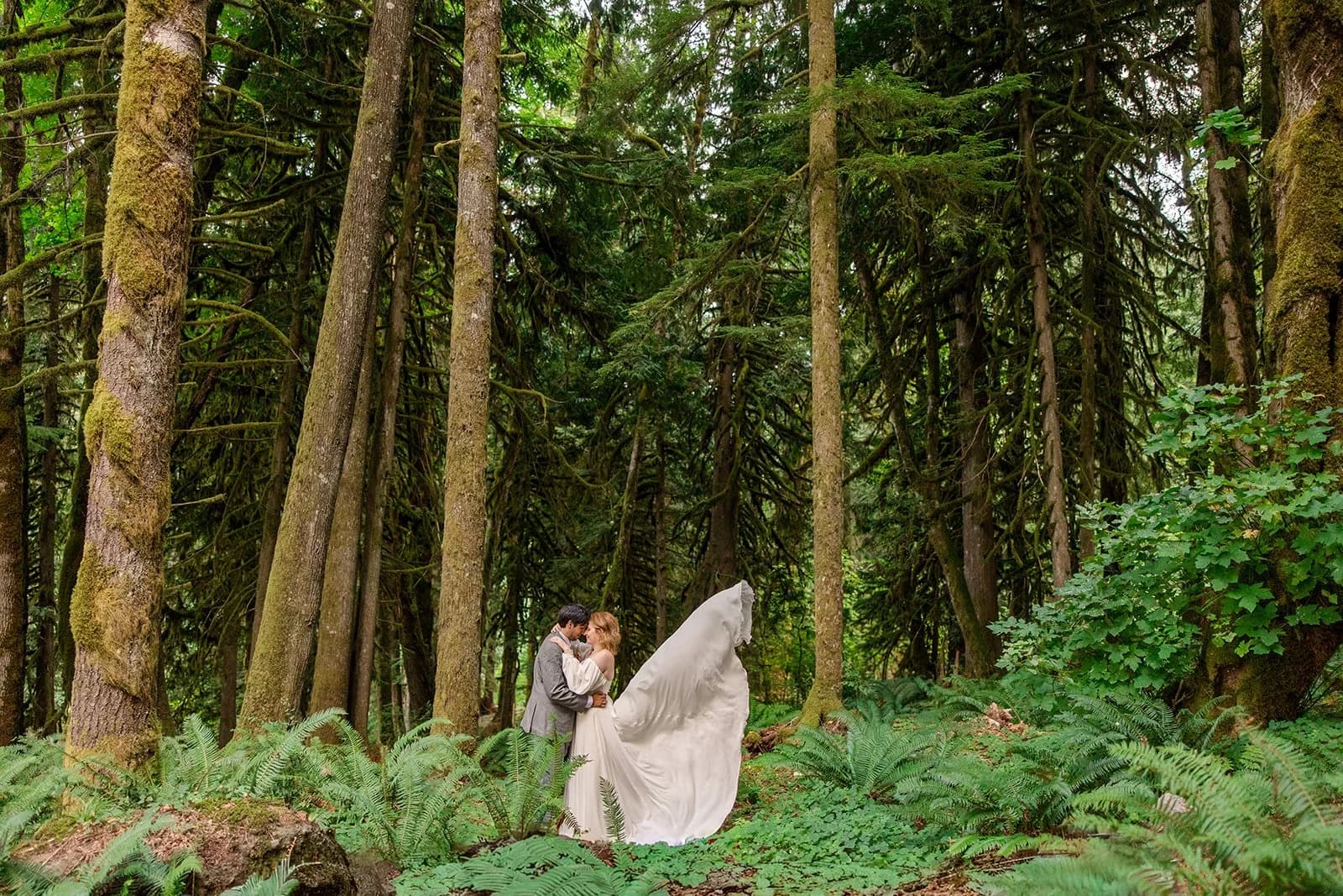 Maya & Justin wedding at Highland Farms