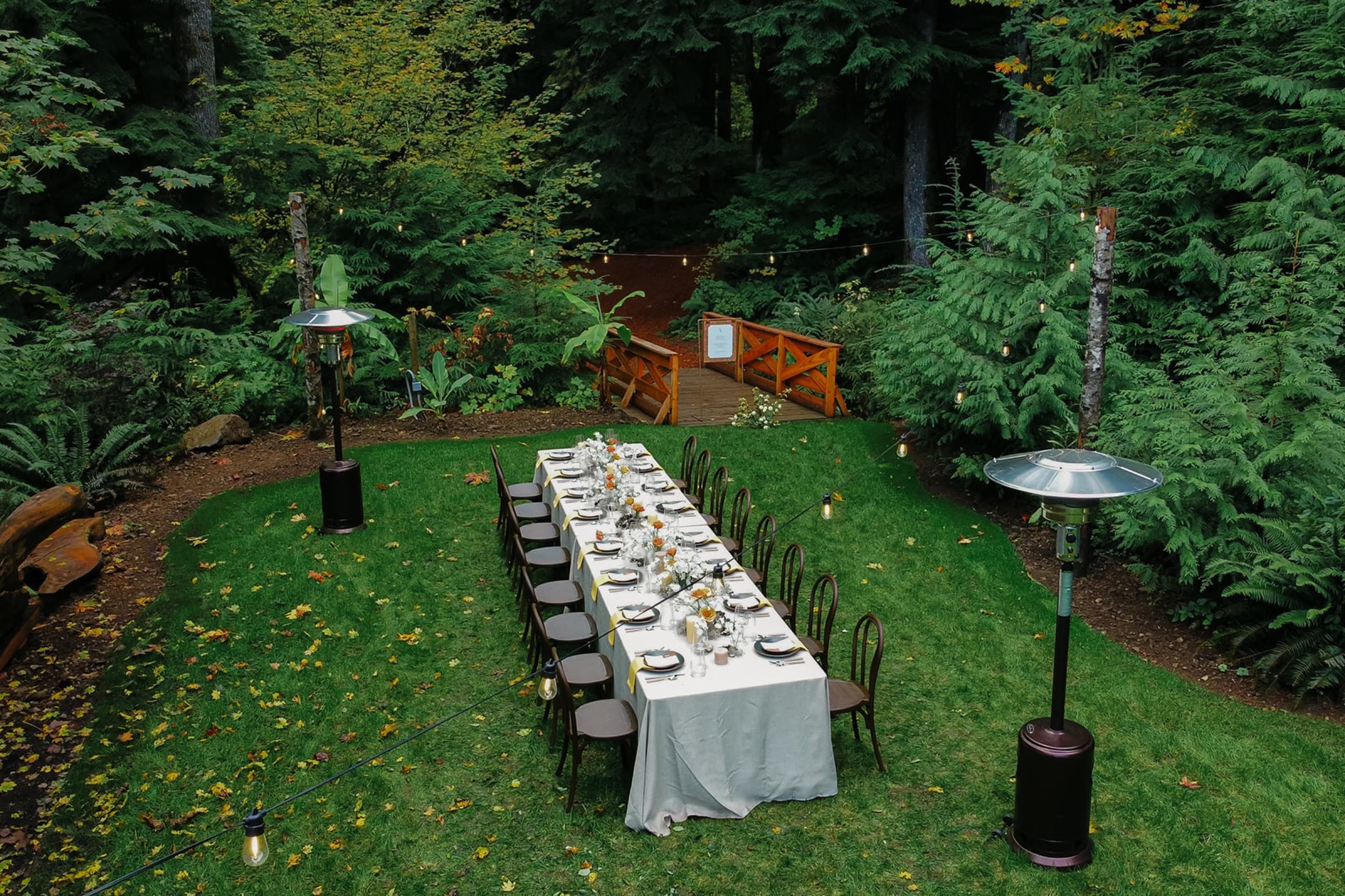 From above: one long dinner table on a lawn ringed by ferns and evergreens, patio heaters at each end