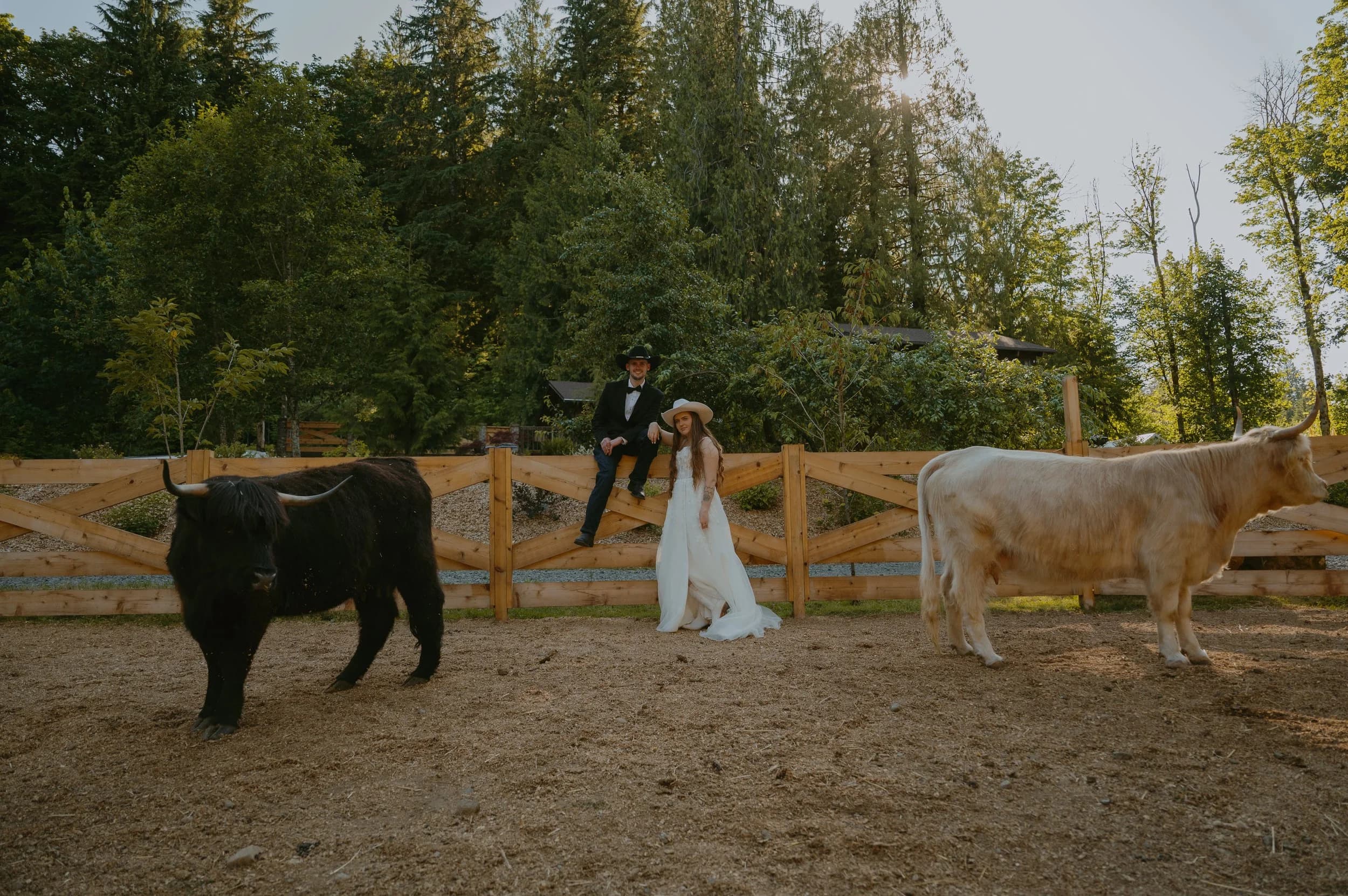Riley and Jordan at the pasture fence, between a black and a white Highland cow